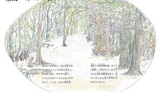 15.仲田の森